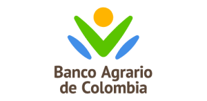 _Infraestructura _ social_CAH _ _ Aliados_