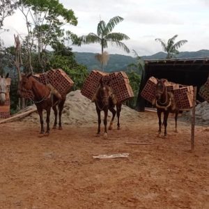 Parte 9_0013_PHOTO-2026-01-28-10-25-27